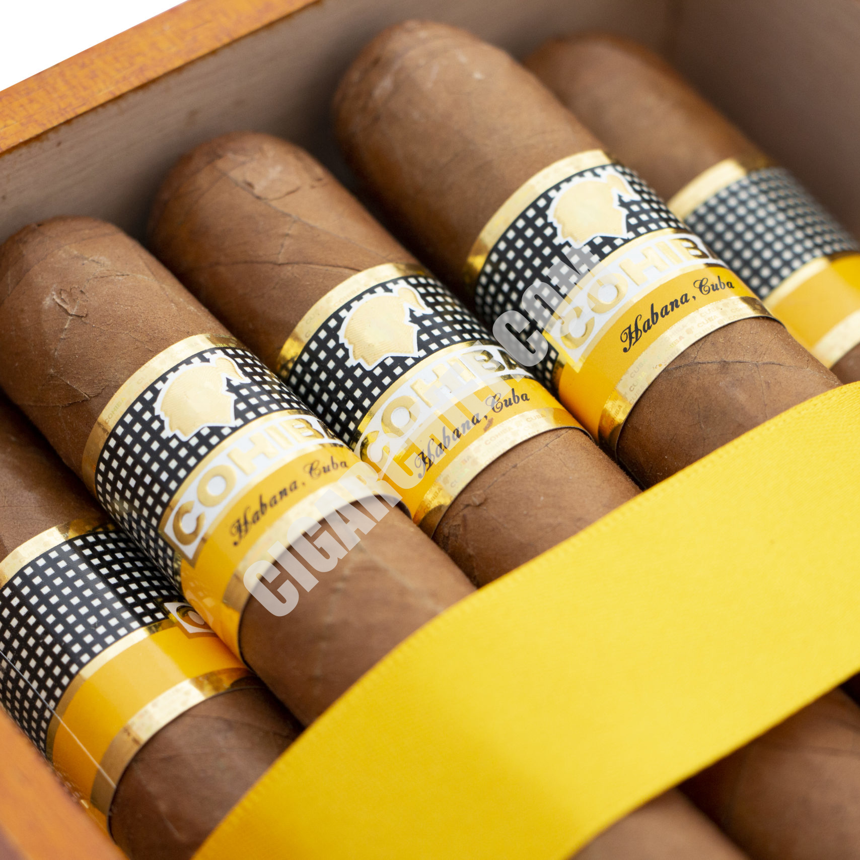 Cohiba Robustos - Cigar Chief