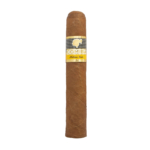 Cohiba Robustos Single Cuban Cigars