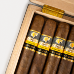 Cohiba Magicos Maduro 5 Box