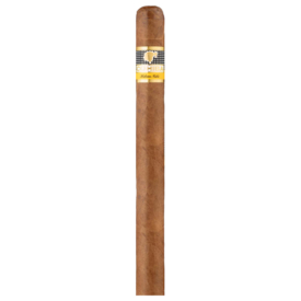 Cohiba Siglo V Cuban Cigar