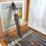 Drew Estate Cigars Liga Privada Unico Serie Ratzilla Box of 10 Cigars Single Cigar Standing