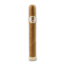 effects of tobacco on urinary system How Does Smoking Affect Bladder Control?