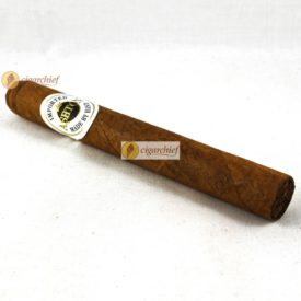 Ashton Cigars Corona Single Cigar White Background