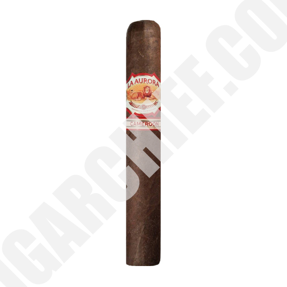 LaAuroraCameroon_toro