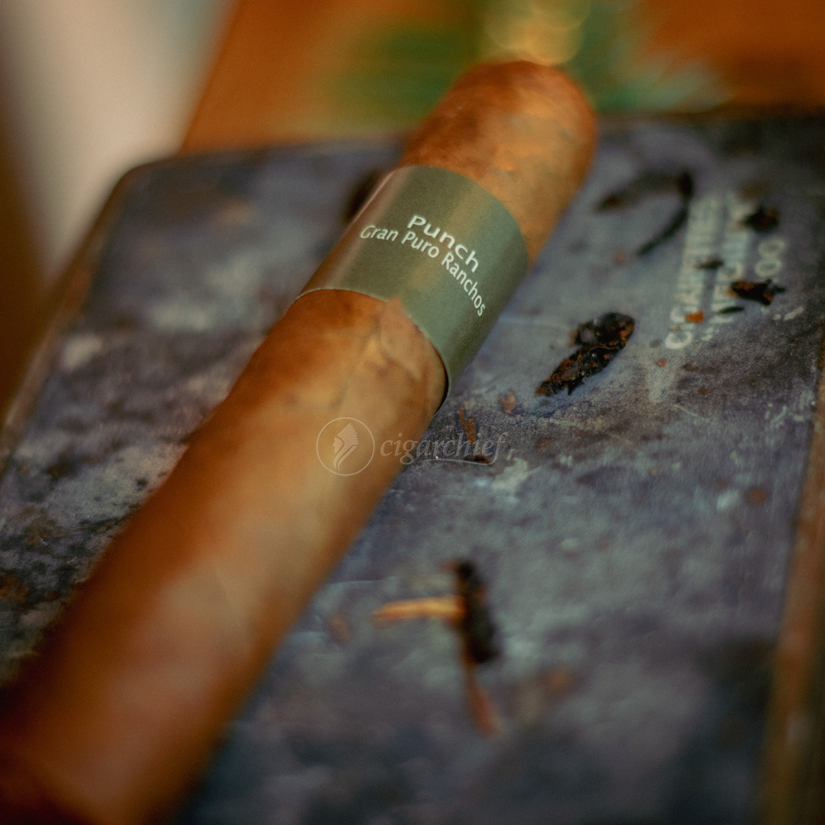 Punch Gran Puro Rancho Cigar Chief