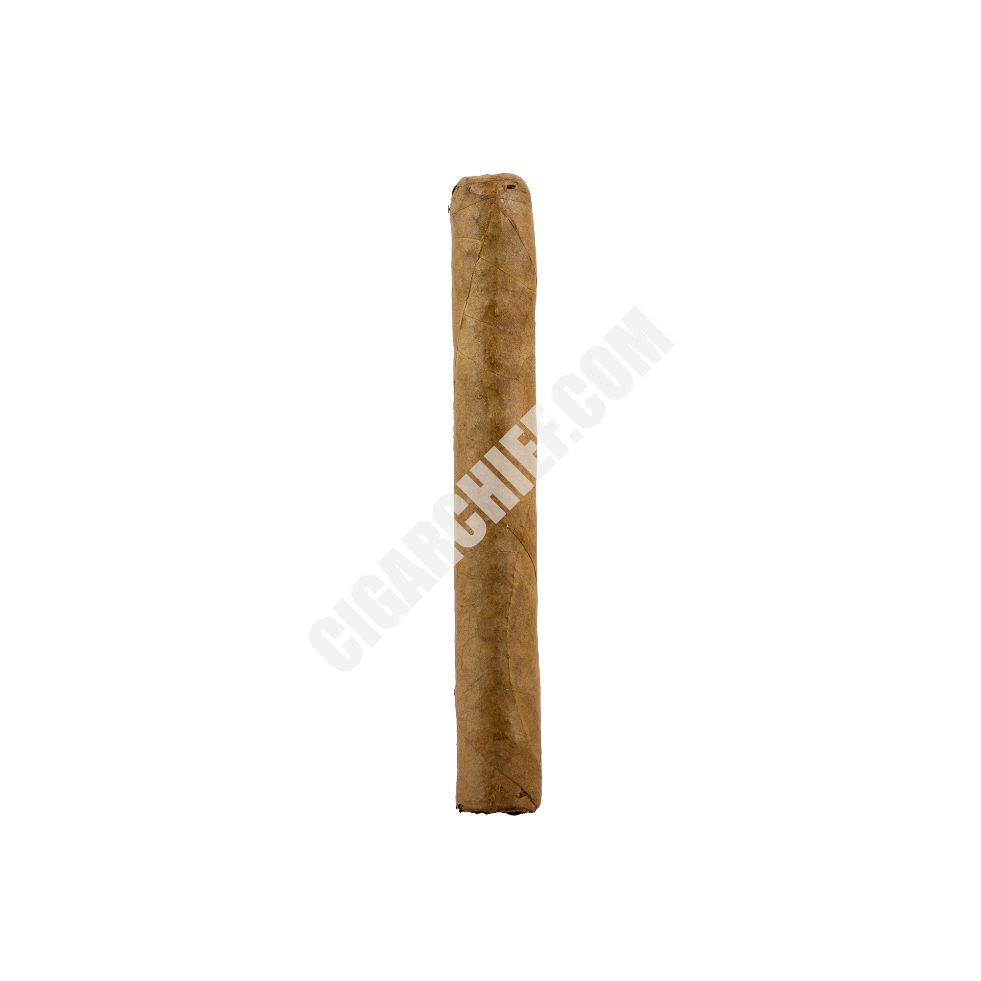 Principes_Corona Red_stick
