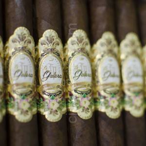 La Galera Habano Open Box of 21 Cigars Close Up