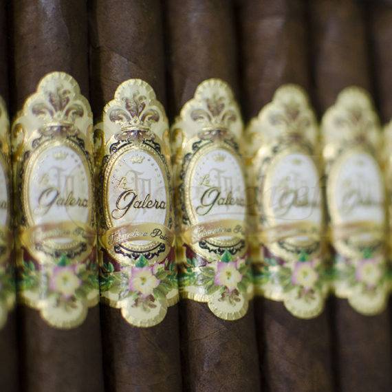 La Galera Habano Open Box of 21 Cigars Close Up