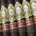 La Galera Maduro Open Box of 21 Cigars Close Up