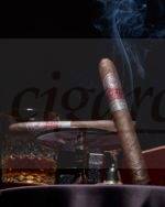 Rocky Patel Cigars Fifty-Five Toro Single Cigar Whiskey