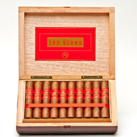 Rocky Patel Cigars Sun Grown Robusto Full Box of Cigars Top