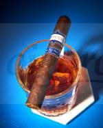 Rocky Patel Cigars Tavicusa Single Cigar Whiskey