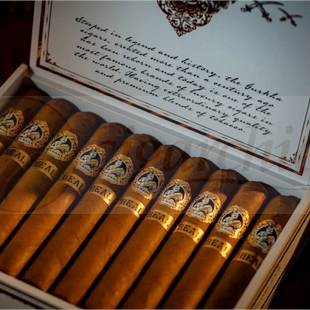 Gurkha Cigars Real Robusto Full Box of Cigars Open
