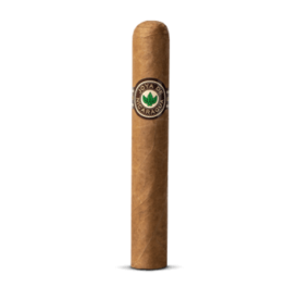 Joya de Nicaragua Cigars Clasico Robusto Single Cigar