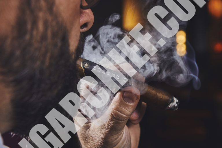 Rocky Patel Cigars Number 6 Single Cigar Smoke Rocky Patel Cigars Number 6 Single Cigar Smoke