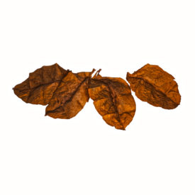 Hot Grabba Tobacco Leaf Unfolded