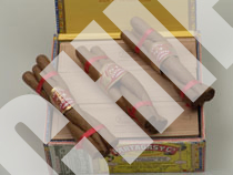 Partagas Cuban Cigar Culebras 3