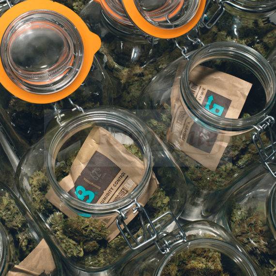 Boveda Humidity Website Promo 62% Small 8g Singles inside Jars of Cannabis