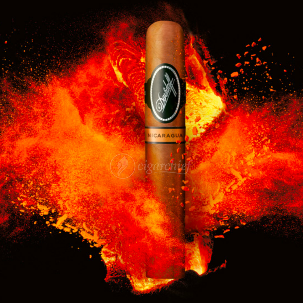 Davidoff Nicaraguan Robusto Cigar Chief