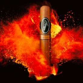 Davidoff Cigars Nicaragua Robusto Single Cigar with Lava Splash