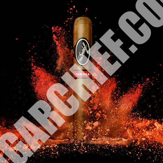 Davidoff Cigars Yamasa Robusto Single Cigar Earth Splash