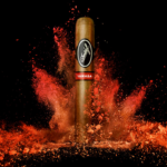 Davidoff Cigars Yamasa Robusto Single Cigar Earth Splash