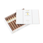 Davidoff Cigars Winston Churchill Petit Corona Full Box of Cigars Open