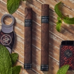 Rocky Patel Java Mint Robusto/ Toro