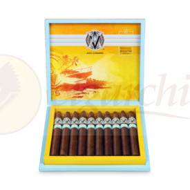 Avo Cigars Regional South Edition