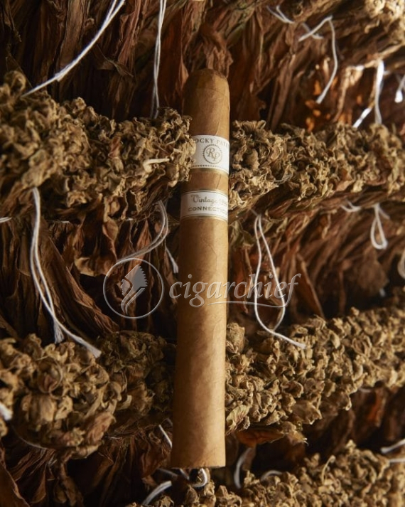 Rocky Patel 1999 Perfecto Connecticut Cigars
