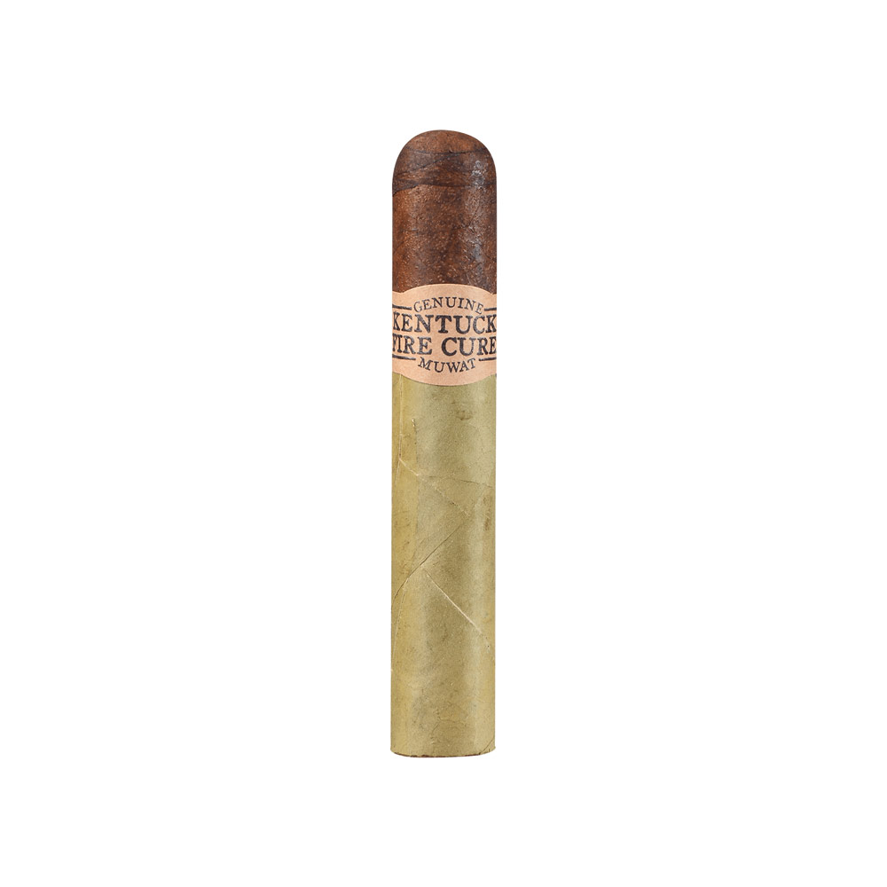 Kentucky Fire Cured Swamp Thang Robusto - Cigar Chief