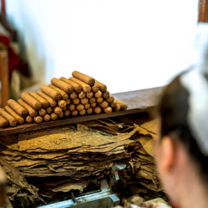 Anatomy of a Cigar