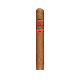 Oliva Cuba Aliados Original Blend Regordo