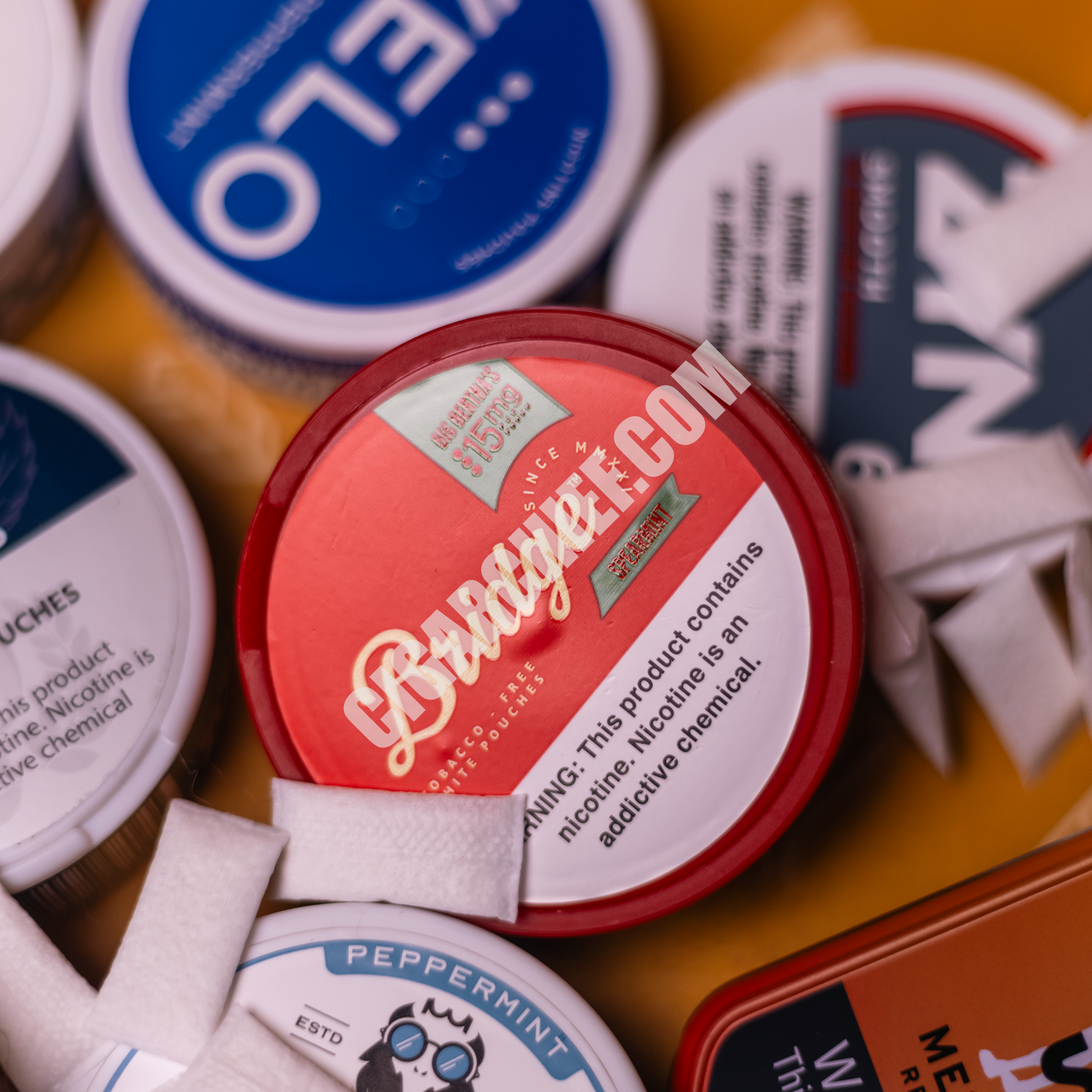 Pouches Cigar Chief Subscription Box