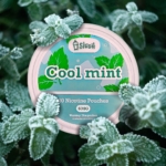 Slush Cool Mint 6 mg