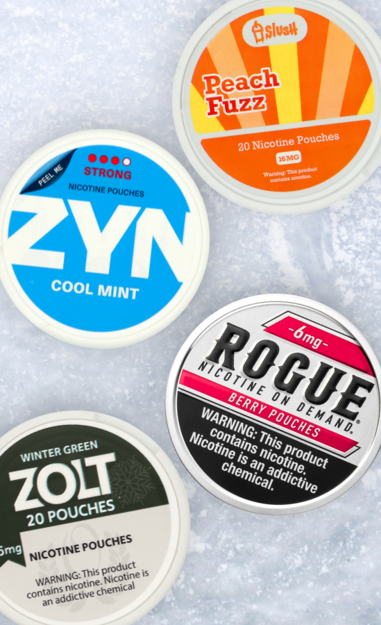 A flat lay of assorted nicotine pouch tins displayed on a frosted white surface. Visible brands include ZYN Cool Mint, Slush Peach Fuzz, Rogue Berry Pouches, and ZOLT Wintergreen. Each round tin features distinct colours and designs, emphasizing flavour variety and modern packaging styles.