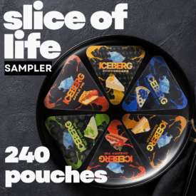 Promotional image of the Slice of Life Sampler showing six ICEBERG pie shaped nicotine pouch tins arranged in a full circle on a black plate, featuring Apple Pie, Cheesecake, Blueberry Pie, Key Lime Pie, Cherry Pie, and Banoffee, with bold text reading Slice of Life Sampler and 240 pouches.