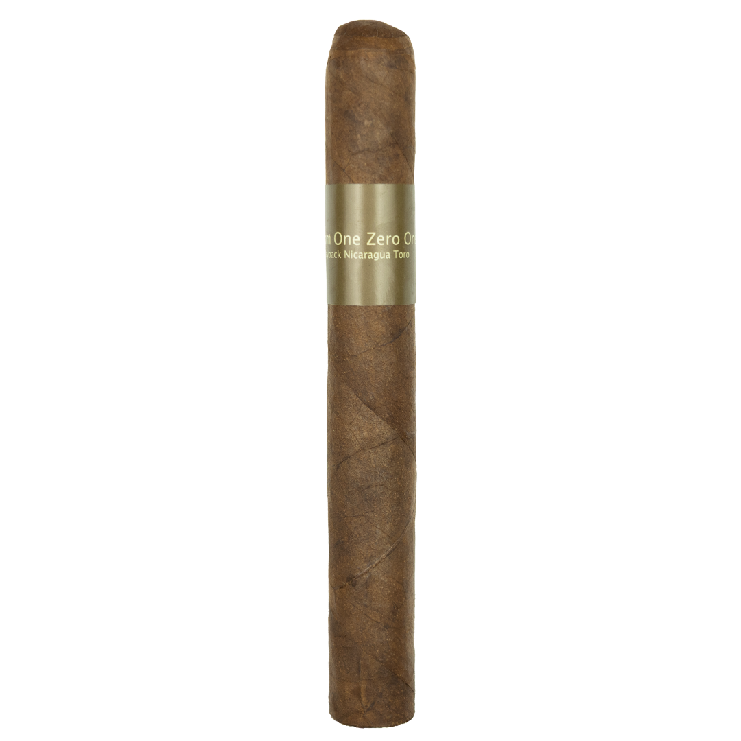 ROOM 101 PAYBACK TORO